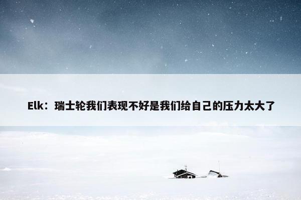 Elk：瑞士轮我们表现不好是我们给自己的压力太大了