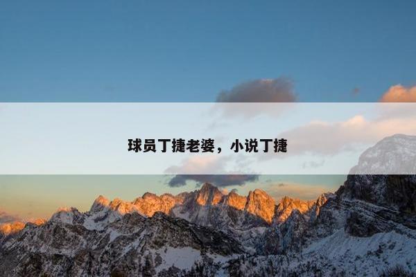 球员丁捷老婆，小说丁捷