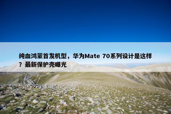 纯血鸿蒙首发机型，华为Mate 70系列设计是这样？最新保护壳曝光