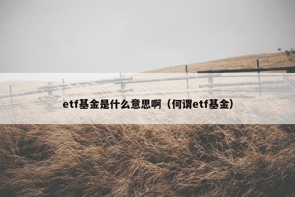 etf基金是什么意思啊（何谓etf基金）