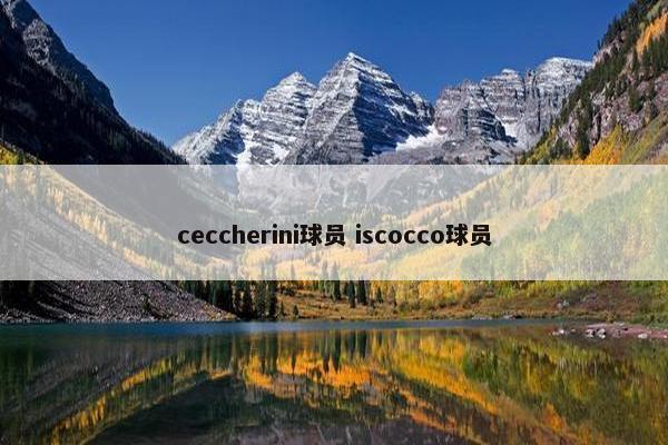 ceccherini球员 iscocco球员