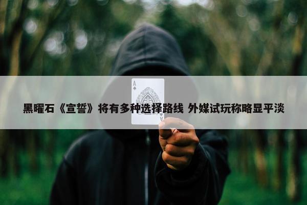 黑曜石《宣誓》将有多种选择路线 外媒试玩称略显平淡