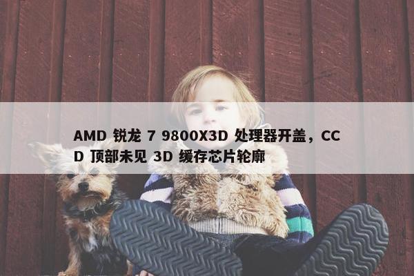 AMD 锐龙 7 9800X3D 处理器开盖，CCD 顶部未见 3D 缓存芯片轮廓