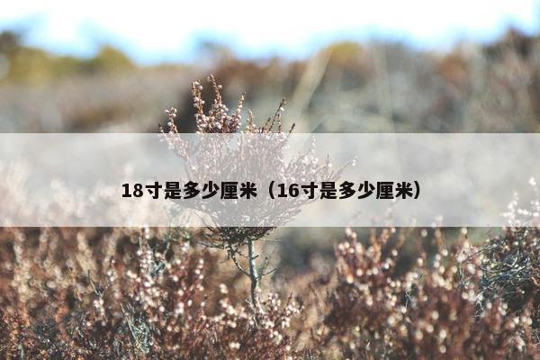 18寸是多少厘米（16寸是多少厘米）