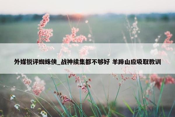 外媒锐评蜘蛛侠_战神续集都不够好 羊蹄山应吸取教训