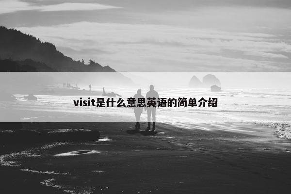 visit是什么意思英语的简单介绍