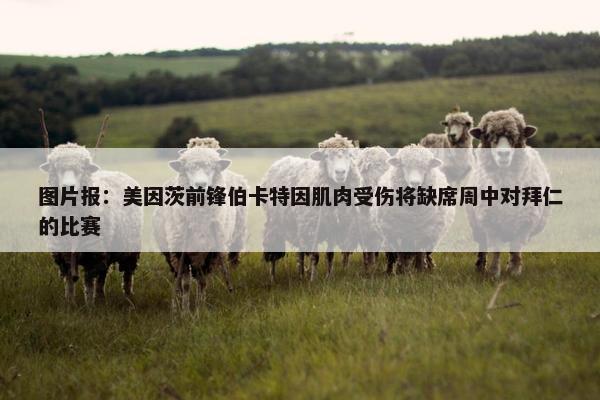 图片报：美因茨前锋伯卡特因肌肉受伤将缺席周中对拜仁的比赛