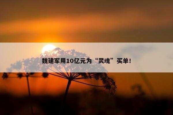 魏建军用10亿元为“灵魂”买单！