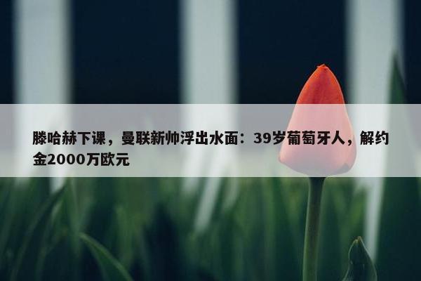 滕哈赫下课，曼联新帅浮出水面：39岁葡萄牙人，解约金2000万欧元