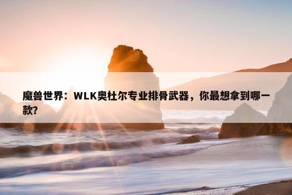 魔兽世界：WLK奥杜尔专业排骨武器，你最想拿到哪一款？