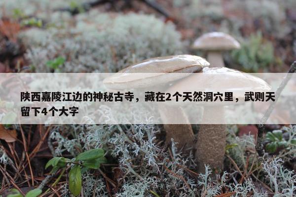 陕西嘉陵江边的神秘古寺，藏在2个天然洞穴里，武则天留下4个大字