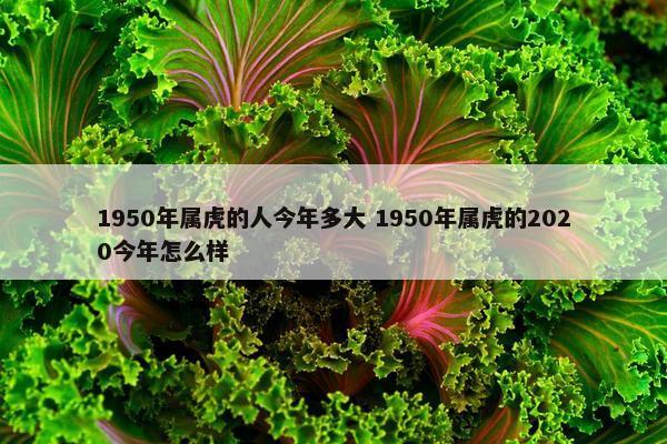 1950年属虎的人今年多大 1950年属虎的2020今年怎么样