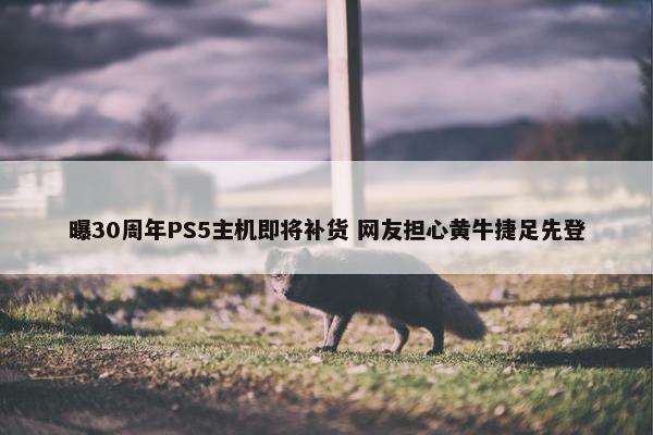 曝30周年PS5主机即将补货 网友担心黄牛捷足先登