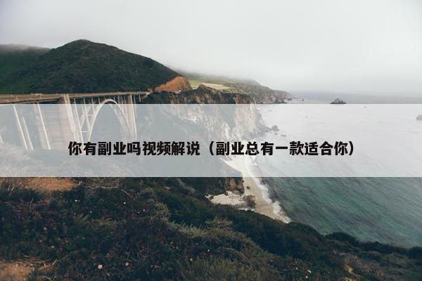 你有副业吗视频解说（副业总有一款适合你）