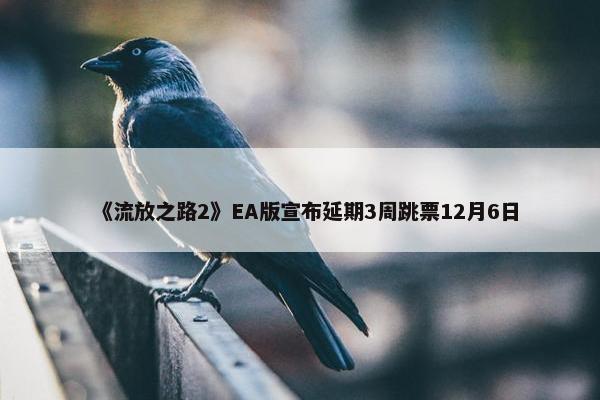 《流放之路2》EA版宣布延期3周跳票12月6日