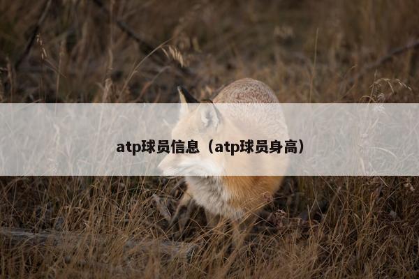 atp球员信息（atp球员身高）