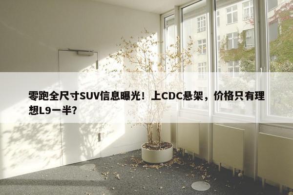 零跑全尺寸SUV信息曝光！上CDC悬架，价格只有理想L9一半？