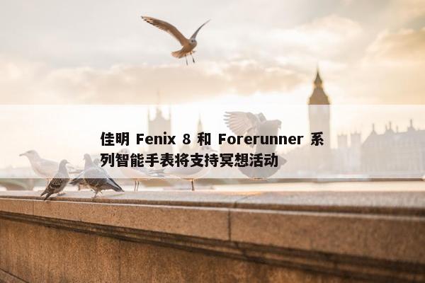 佳明 Fenix 8 和 Forerunner 系列智能手表将支持冥想活动