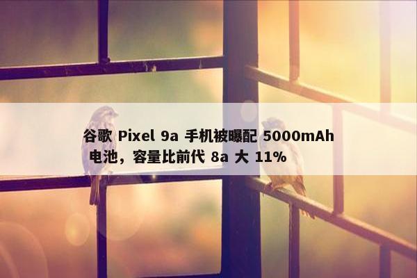 谷歌 Pixel 9a 手机被曝配 5000mAh 电池，容量比前代 8a 大 11%