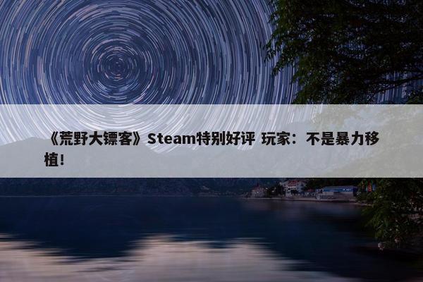 《荒野大镖客》Steam特别好评 玩家：不是暴力移植！