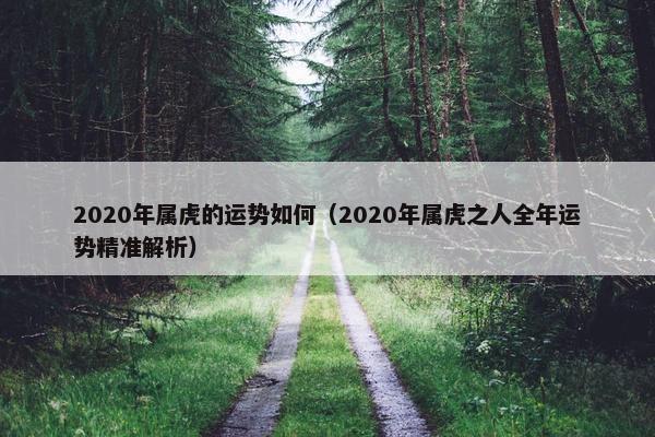 2020年属虎的运势如何（2020年属虎之人全年运势精准解析）