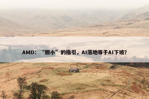 AMD：“胆小”的指引，AI落地等于AI下坡？