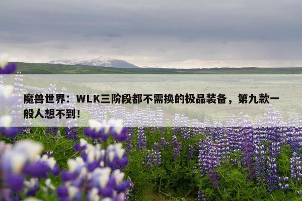 魔兽世界：WLK三阶段都不需换的极品装备，第九款一般人想不到！