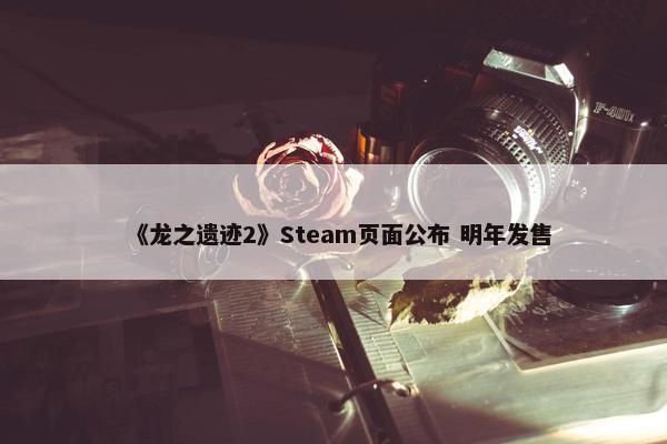 《龙之遗迹2》Steam页面公布 明年发售