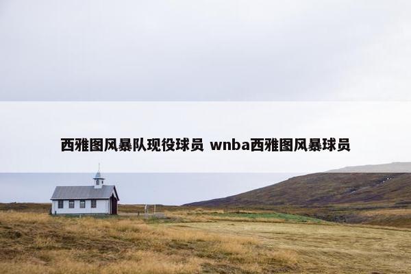 西雅图风暴队现役球员 wnba西雅图风暴球员