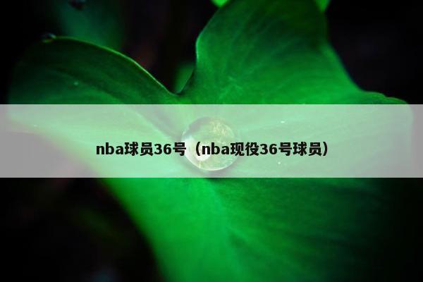 nba球员36号（nba现役36号球员）