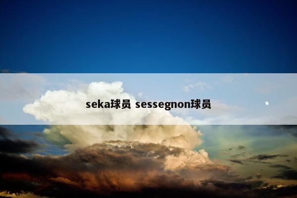 seka球员 sessegnon球员