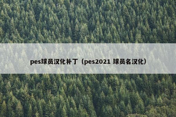 pes球员汉化补丁（pes2021 球员名汉化）