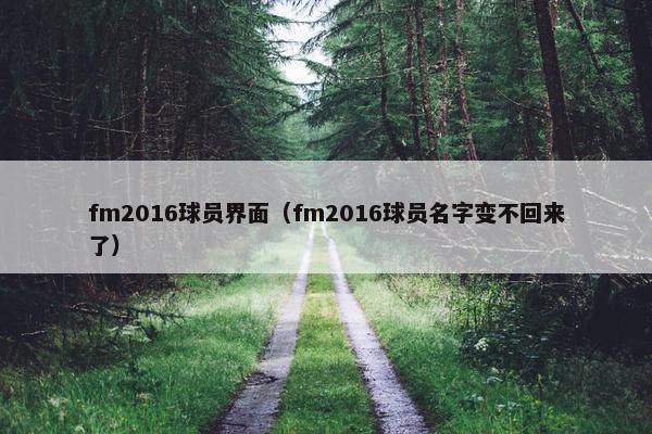 fm2016球员界面（fm2016球员名字变不回来了）