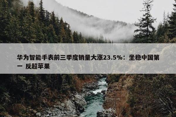 华为智能手表前三季度销量大涨23.5%：坐稳中国第一 反超苹果