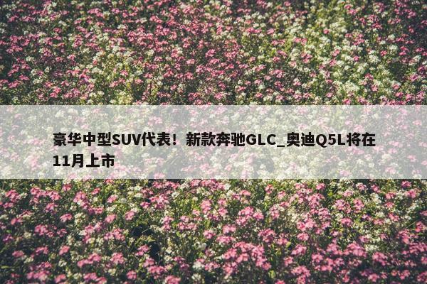 豪华中型SUV代表！新款奔驰GLC_奥迪Q5L将在11月上市