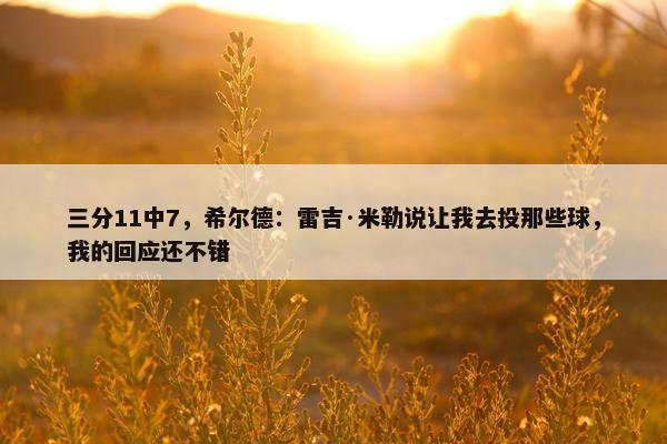 三分11中7，希尔德：雷吉·米勒说让我去投那些球，我的回应还不错