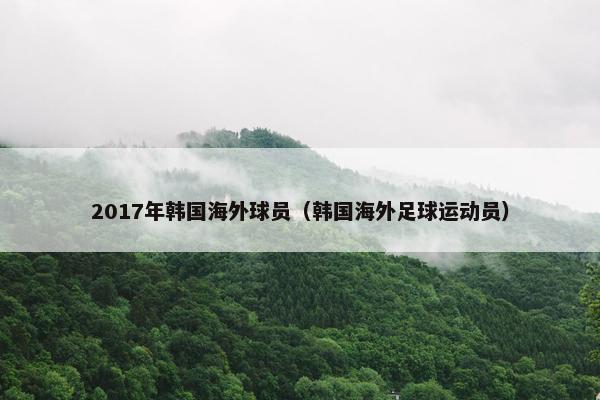 2017年韩国海外球员（韩国海外足球运动员）