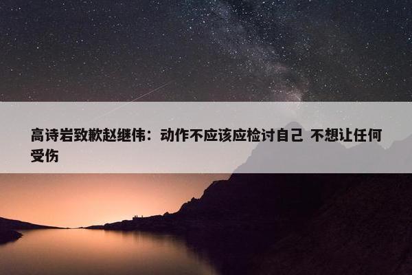 高诗岩致歉赵继伟：动作不应该应检讨自己 不想让任何受伤