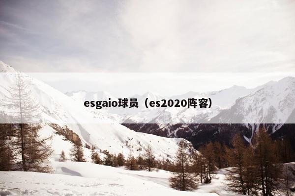 esgaio球员（es2020阵容）