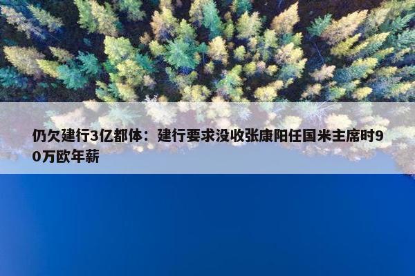 仍欠建行3亿都体：建行要求没收张康阳任国米主席时90万欧年薪