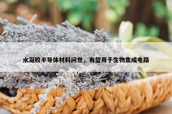 水凝胶半导体材料问世，有望用于生物集成电路