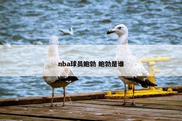 nba球员鲍勃 鲍勃是谁