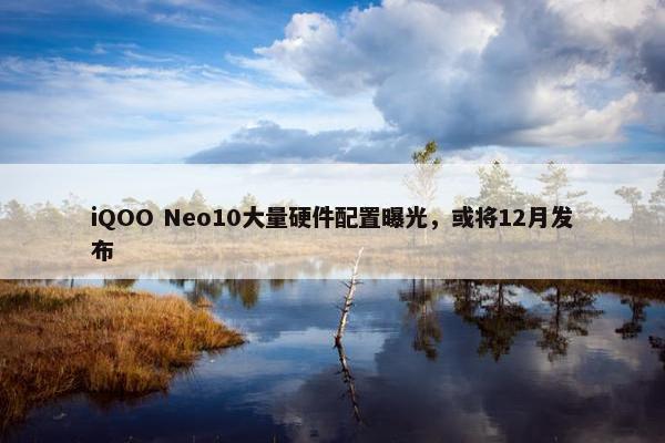 iQOO Neo10大量硬件配置曝光，或将12月发布