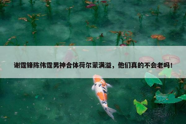 谢霆锋陈伟霆男神合体荷尔蒙满溢，他们真的不会老吗！