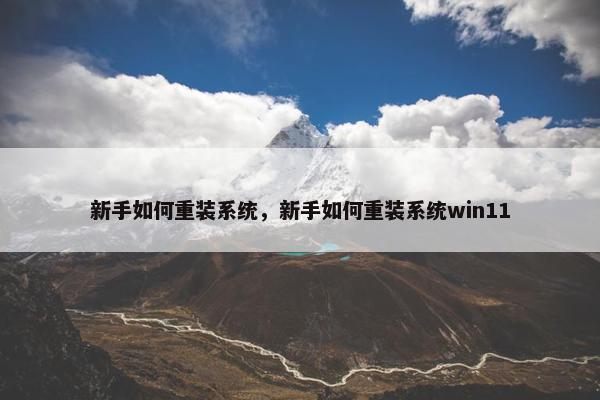 新手如何重装系统，新手如何重装系统win11