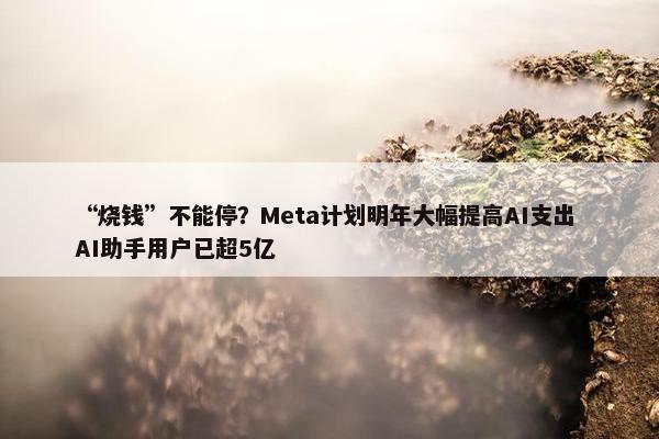 “烧钱”不能停？Meta计划明年大幅提高AI支出 AI助手用户已超5亿