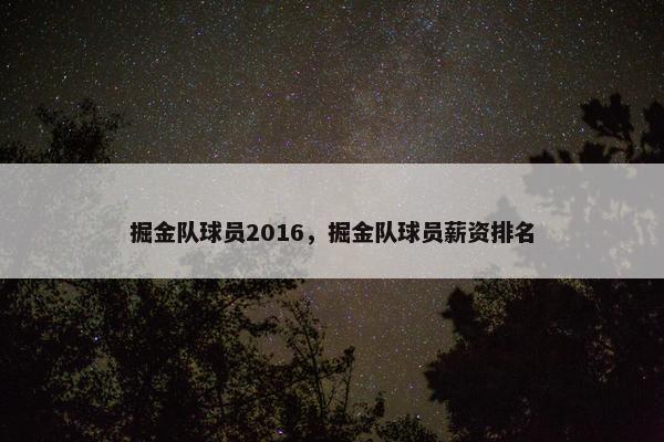 掘金队球员2016，掘金队球员薪资排名