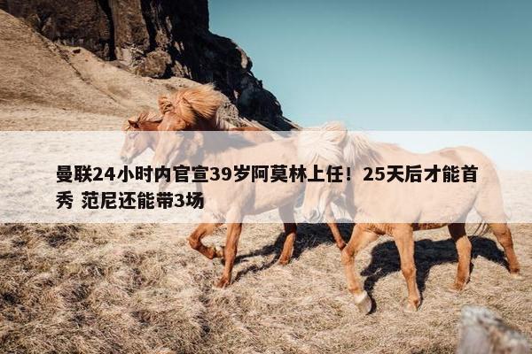 曼联24小时内官宣39岁阿莫林上任！25天后才能首秀 范尼还能带3场