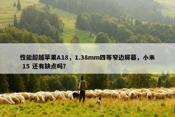 性能超越苹果A18，1.38mm四等窄边屏幕，小米 15 还有缺点吗？