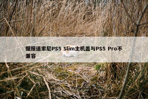 据报道索尼PS5 Slim主机盖与PS5 Pro不兼容